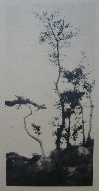 Fig. 5: Chen Wanli 陳萬里 (1892-1969), After Ni Yunlin’s [Ni Zan]Small Landscape of Pines & Rocks (On the Path at Panshan to the East of Beijing) 仿倪雲林松石小景 (京東盤山道中), ca. 1919-1924. Gelatin silver print. From Chen Wanli, Da Feng ji (Great Wind Collection), Courtesy of Chen Shen. 