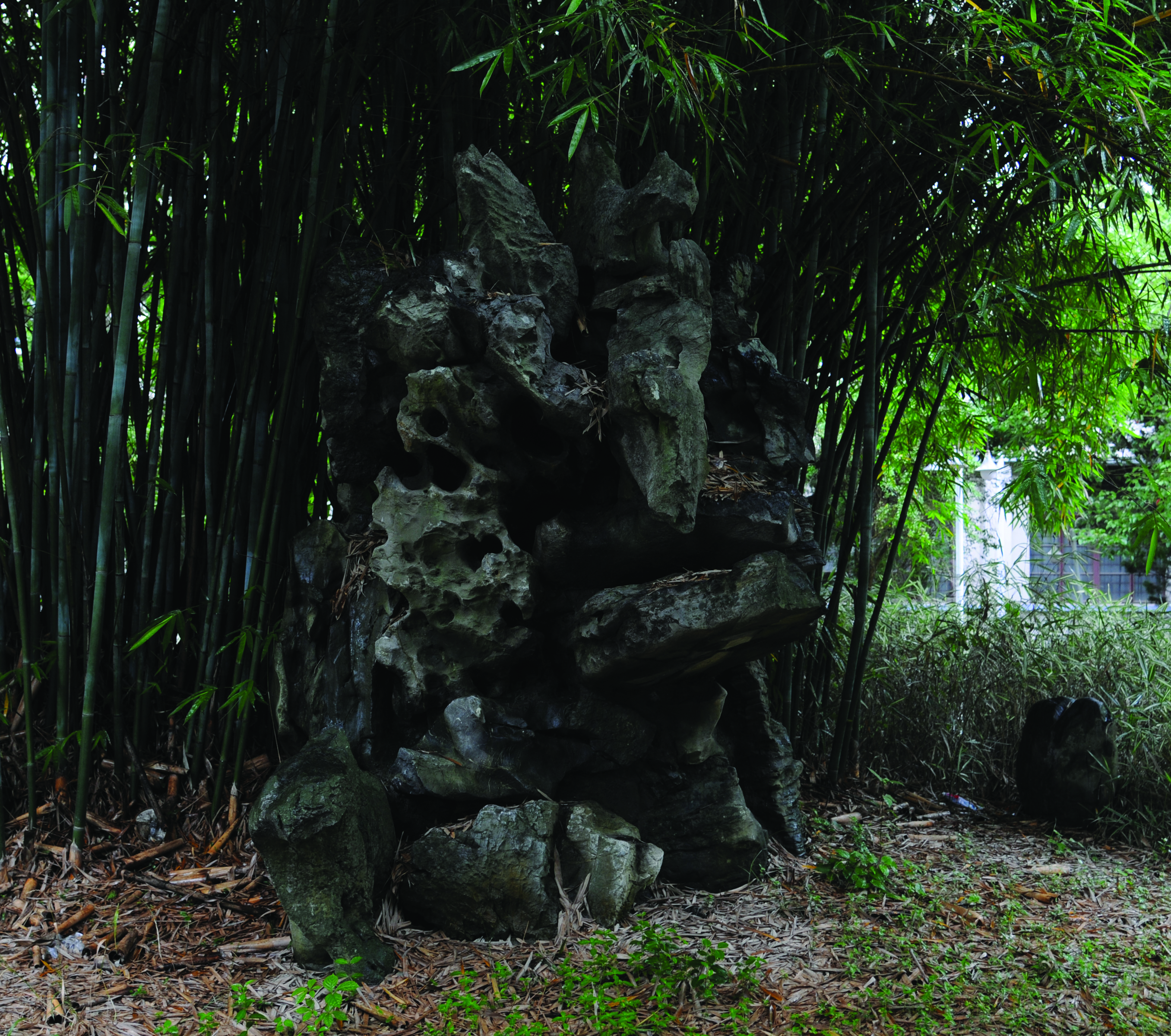 刻印幻境 環翠堂園景圖 的媒材 觀念與時空