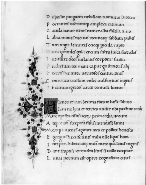 Fig. 3. Ornamentation, from Satires of Persius, Mich. MS 147, f. 108v.: Special Collections Library, University of Michigan Fig. 3. Ornamentation, from Satires of Persius, Mich. MS 147, f. 108v.: Special Collections Library, University of Michigan