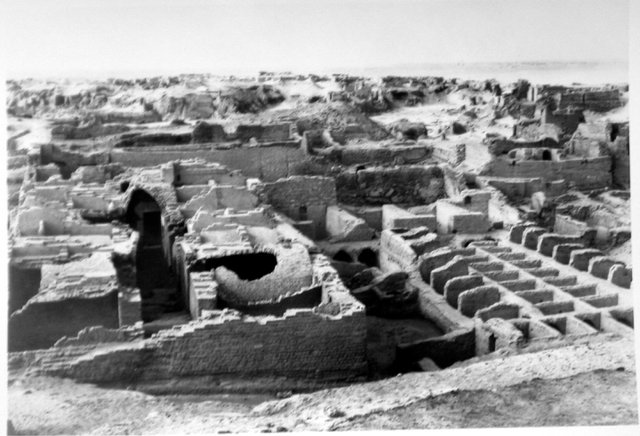 Fig. 1. Excavation photo of Granary C123, showing the vaulted chambers and storage bins in which the sealings were discovered. Fig. 1. Excavation photo of Granary C123, showing the vaulted chambers and storage bins in which the sealings were discovered.