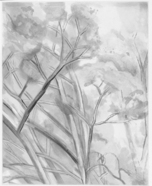 Mangold, Sylvia Plimack, American, born 1938.
The Pin Oak Diptych (A), 2003.
Drypoint and aquatint, 63.5 x 47 cm.
Museum purchase made possible by the Friends and Family of Dottie Farhat, on the occasion of her 70th birthday, 2005/2.1.1 Mangold, Sylvia Plimack, American, born 1938.
The Pin Oak Diptych (A), 2003.
Drypoint and aquatint, 63.5 x 47 cm.
Museum purchase made possible by the Friends and Family of Dottie Farhat, on the occasion of her 70th birthday, 2005/2.1.1