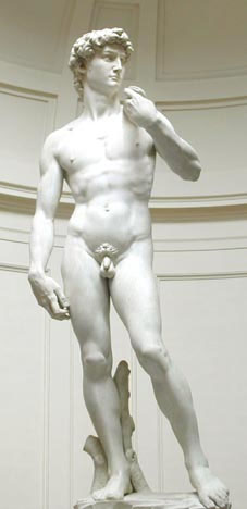 Michelangelo's David. Michelangelo's David.