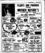 image of April 07, 1978 - number 33