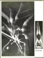 image of July 17, 1987 - number 39