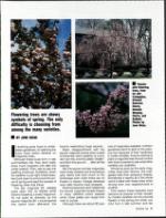 image of May 06, 1989 - number 77