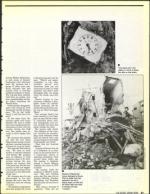 image of May 10, 1991 - number 31