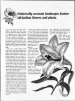 image of October 26, 1991 - number 31