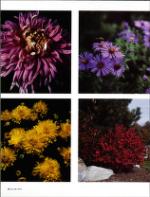 image of October 24, 1992 - number 32