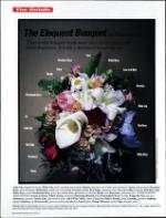 image of January 30, 1993 - number 80