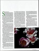 image of March 27, 1993 - number 37