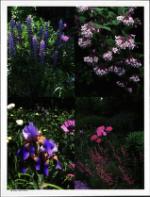 image of October 23, 1993 - number 44