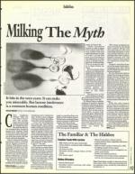 image of December 31, 1993 - number 67