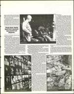 image of January 21, 1994 - number 53