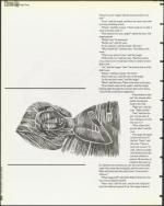 image of September 29, 1995 - number 38