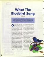 image of April 24, 1998 - number 80