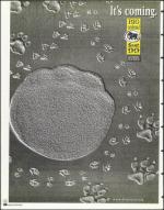 image of July 23, 1999 - number 82