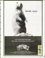 image of August 06, 1999 - number 101