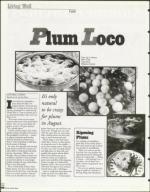 image of August 13, 1999 - number 106