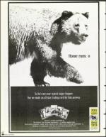 image of September 03, 1999 - number 80