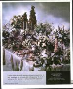 image of March 31, 2000 - number 83