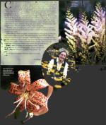 image of September 01, 2000 - number 79