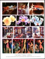 image of October 03, 2003 - number 67