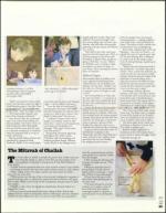 image of March 24, 2005 - number 125