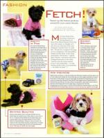 image of March 02, 2006 - number 60