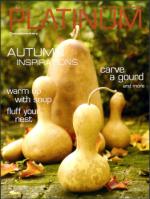 image of November 05, 2006 - number 47