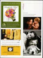 image of March 15, 2007 - number 62