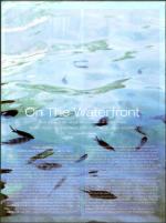 image of February 07, 2008 - number 54