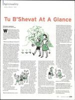 image of February 05, 2009 - number 29