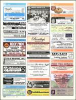 image of February 19, 2009 - number 68