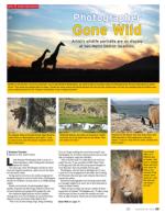 image of November 29, 2012 - number 69