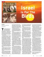 image of February 14, 2013 - number 61