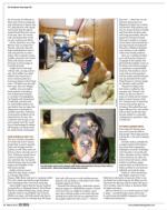 image of February 28, 2013 - number 36