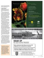 image of June 06, 2013 - number 11