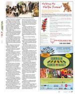 image of October 17, 2013 - number 37