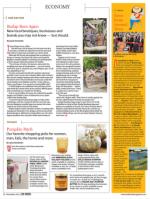 image of October 31, 2013 - number 34