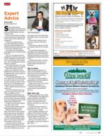 image of February 20, 2014 - number 31