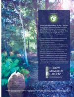 image of February 26, 2015 - number 75