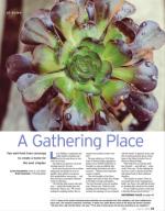 image of June 11, 2015 - number 43