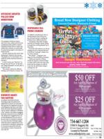 image of November 19, 2015 - number 59