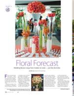 image of January 28, 2016 - number 50