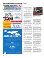 image of February 04, 2016 - number 12