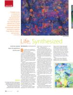 image of June 16, 2016 - number 42