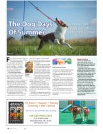 image of July 21, 2016 - number 32