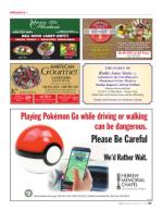 image of August 11, 2016 - number 89