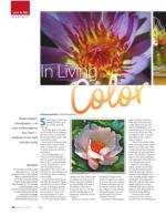 image of October 13, 2016 - number 45