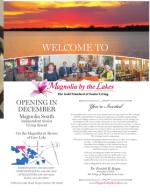 image of November 03, 2016 - number 15